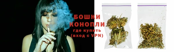 трава Армянск