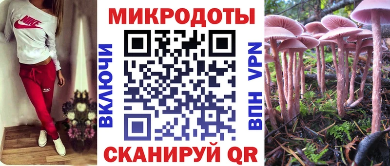 Псилоцибиновые грибы прущие грибы  цены наркотик  Сенгилей 